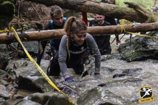 13140606 1015084021874204 1118447548 n